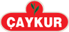 CAYKUR