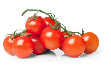 Tomato