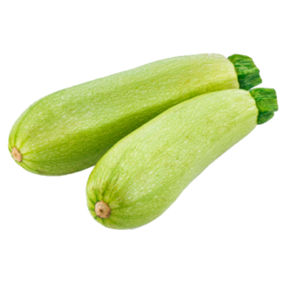 Zucchini