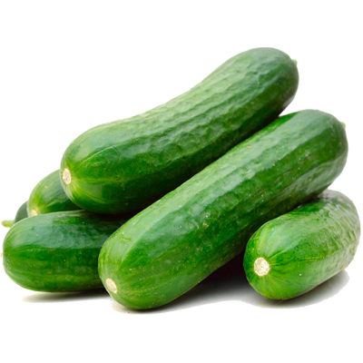 Cucumber