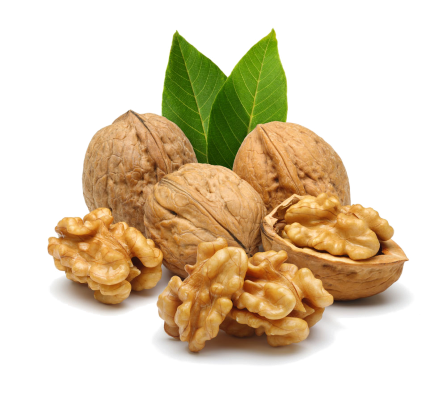 walnut